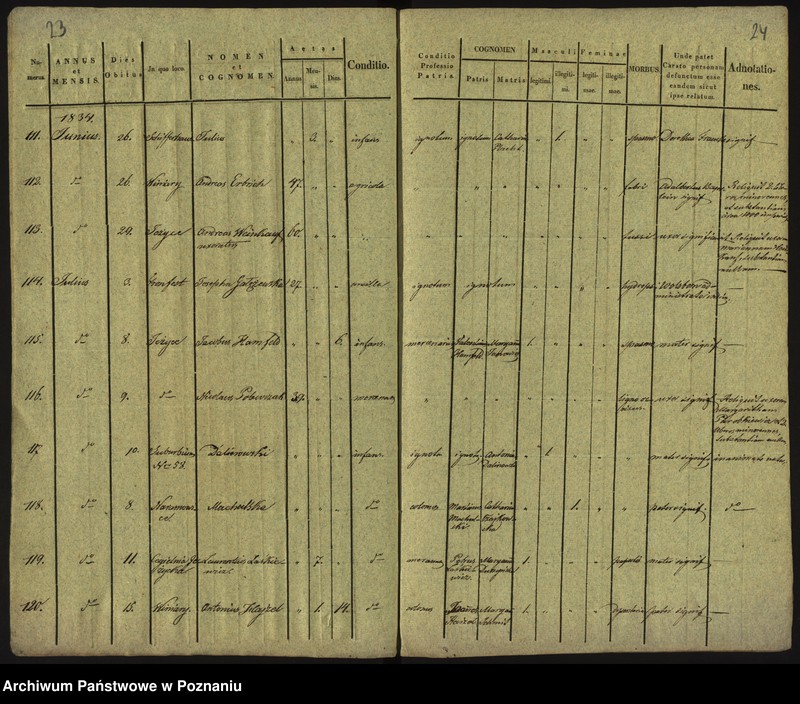 Obraz 15 z jednostki "Księga zgonów"