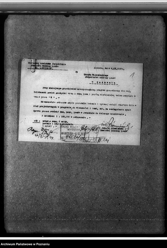 Obraz 5 z jednostki "Las majętności Dalabuszki powiat gostyński"