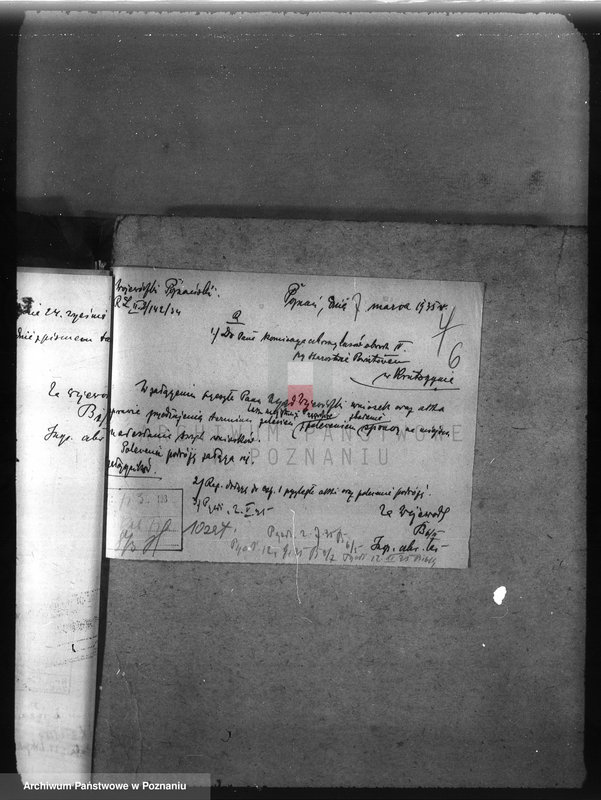 Obraz 10 z jednostki "Majętność /leśna/ Przygodzice w powiecie ostrowskim"