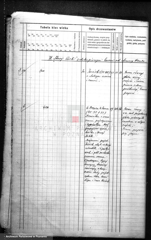 Obraz 14 z jednostki "Plan urządzania gospodarstwa leśnego dla gminy miasta Czarnkowa"