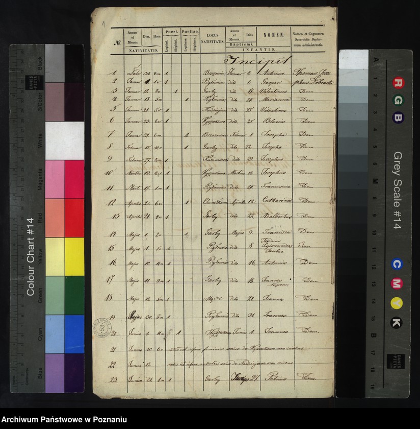 Obraz 3 z jednostki "Liber baptisatorum"