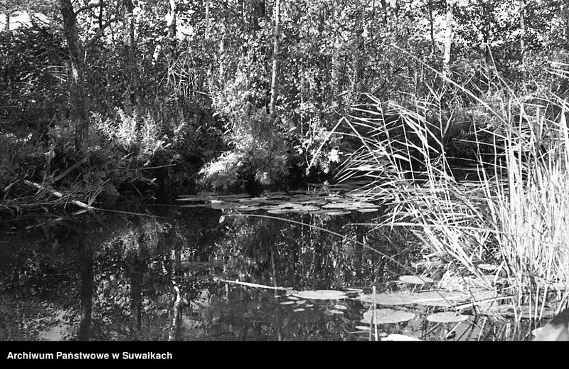 image.from.unit.number "[Jezioro Wigry ?]"