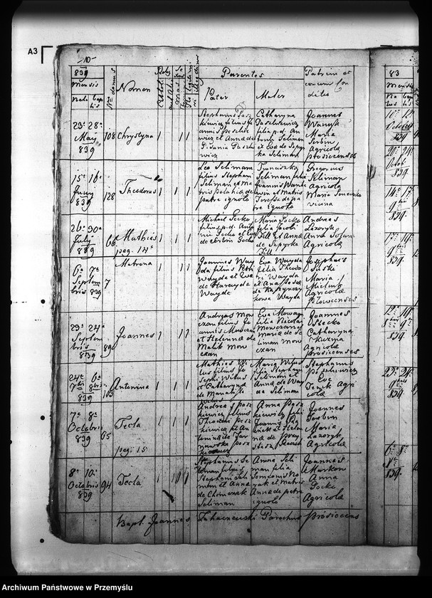 Obraz 14 z jednostki "[Kopie ksiąg metrykalnych parafii Prusiek z filią Sanoczek (dekanat Sanok)]"