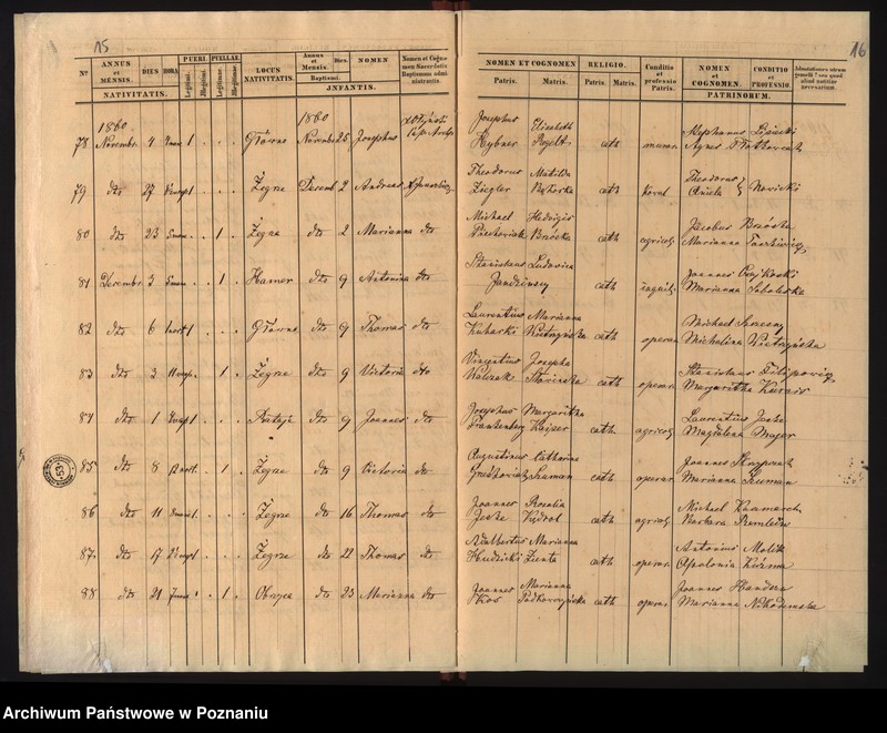 Obraz 11 z jednostki "Duplicat baptisatorum"