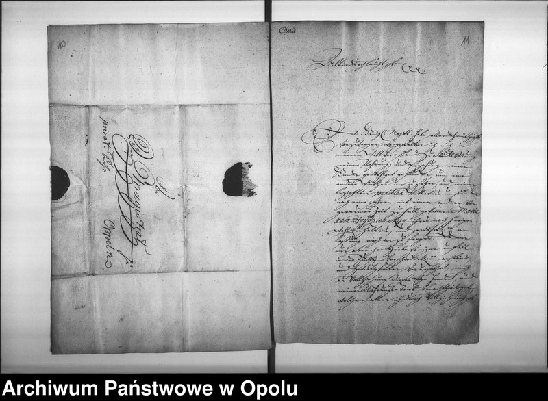 Obraz 13 z jednostki "Acta des Magistrats zu Oppeln betreffend die Legitimation unehelich erzeugter Kinder und Personen Vol. I"