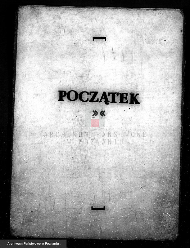 Obraz 3 z jednostki "Majętność leśna Kociałkowo powiat poznański"