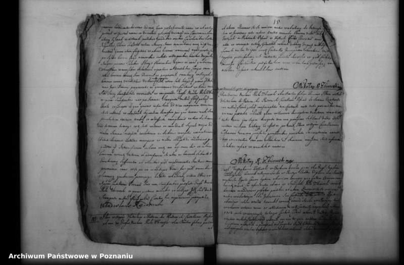 Obraz 17 z jednostki "Inscriptiones, resignationes [protocollon]"