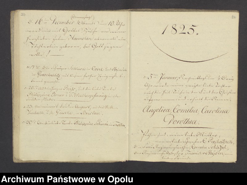 Obraz 15 z jednostki "[Dziennik z podróży] 1824-1826"