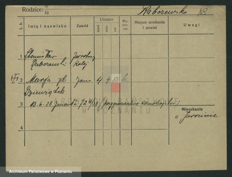 Obraz 20 z jednostki "Raab - Raczkiewicz"