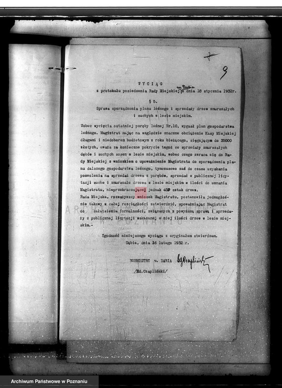 Obraz 13 z jednostki "Lasy miasta Dąbie powiatu kolskiego"