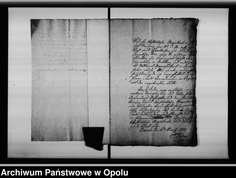 Obraz 8 z jednostki "Acta des Magistrats zu Oppeln betr[effend] die Wahl eines Deputirten zur Provinzial Kriegs Schulden Regulirungs Commission Vol. I de anno 1812"