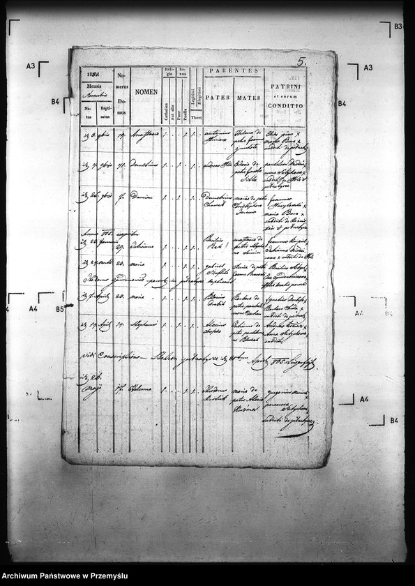 image.from.unit.number "[Kopie ksiąg metrykalnych parafii Pełniatycze z filiami Cząstkowice, Czelatyce, Roźwienica, Rożniatów, Rudołowice, Wola Roźwienicka (dekanat Pruchnik)]"