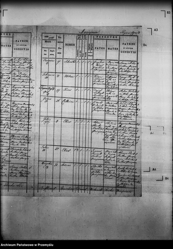 Obraz 20 z jednostki "[Kopie ksiąg metrykalnych parafii Maciejowa z filiami Barnowiec, Czaczów, Margoń, Składziste, Roztoka Mała, Rybień, Złotne (dekanat Muszyna)]"