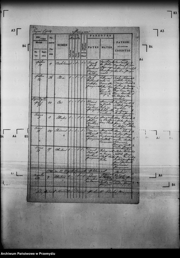 Obraz 9 z jednostki "[Kopie ksiąg metrykalnych parafii Maciejowa z filiami Barnowiec, Czaczów, Margoń, Składziste, Roztoka Mała, Rybień, Złotne (dekanat Muszyna)]"