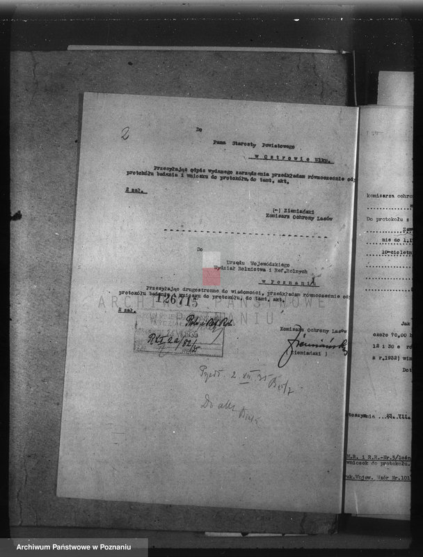 image.from.unit.number "Las majętności Parczew powiat ostrowski"