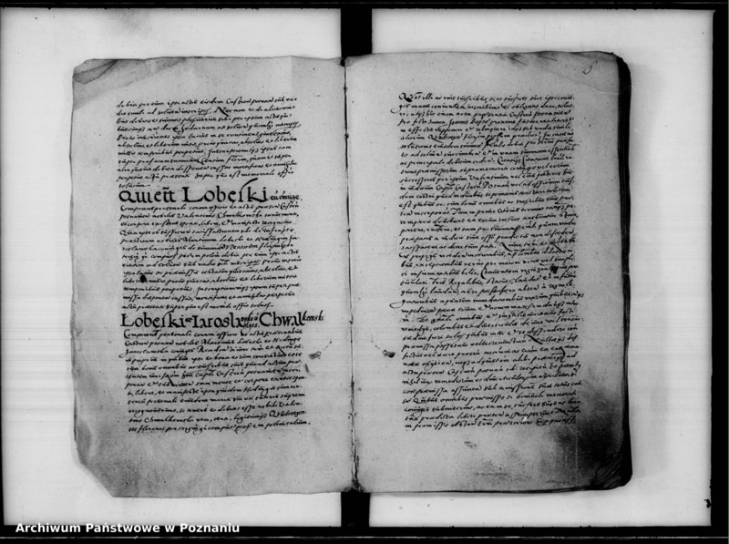 Obraz 8 z jednostki "Inscriptiones, relationes [inducta]"