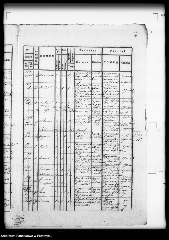 Obraz 11 z jednostki "[Kopie ksiąg metrykalnych parafii Boratyn z filią Ostrów (dekanat Bełz)]"