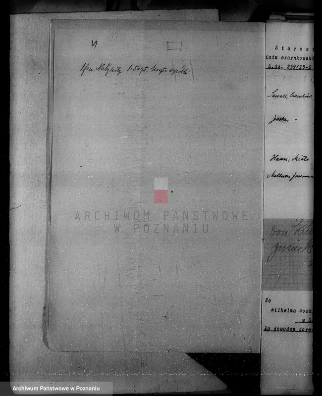 Obraz 8 z jednostki "Majętności leśne w Krucz-Goraju w powiecie czarnkowskim"