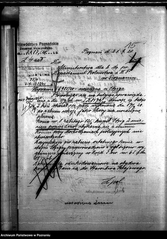 Obraz 19 z jednostki "Nosacizna - Żnin"