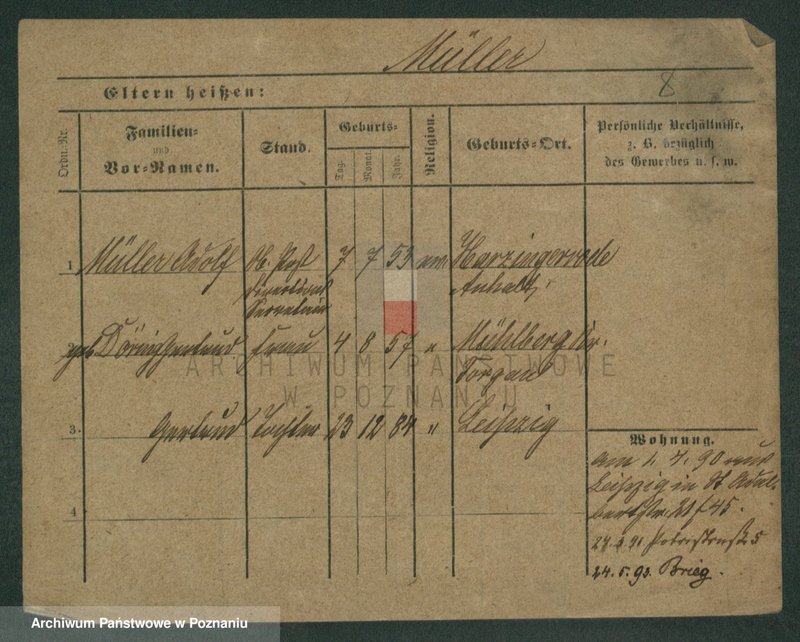 Obraz 10 z jednostki "Müller (żonaci i wdowy)"