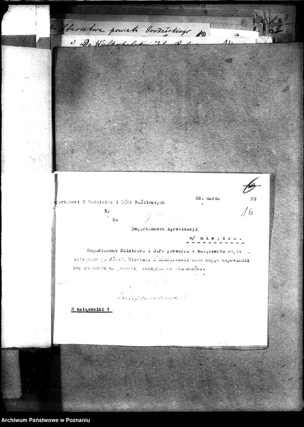 Obraz 20 z jednostki "Sprawy szczegółowo-administracyjne Sadzonki"