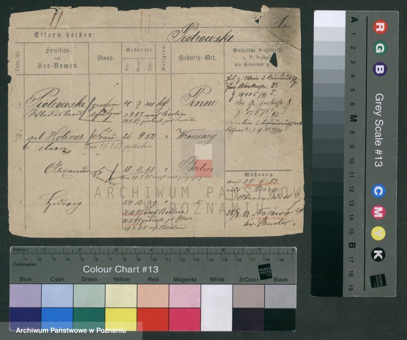 Obraz 1 z jednostki "Piotrowski (samotni mężczyźni i kobiety)"