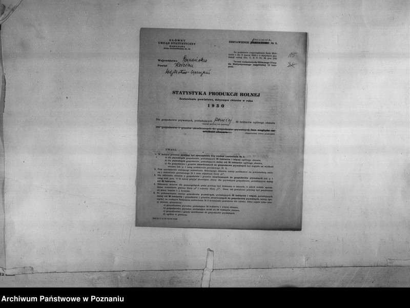 Obraz 17 z jednostki "/Statystyka produkcji rolnej - zestawienie z terenu powiatu kościańskiego"