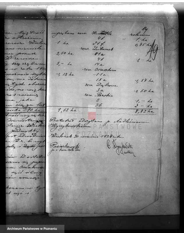 Obraz 18 z jednostki "Majętność leśna w Kwilczu w powiecie międzychodzkim"