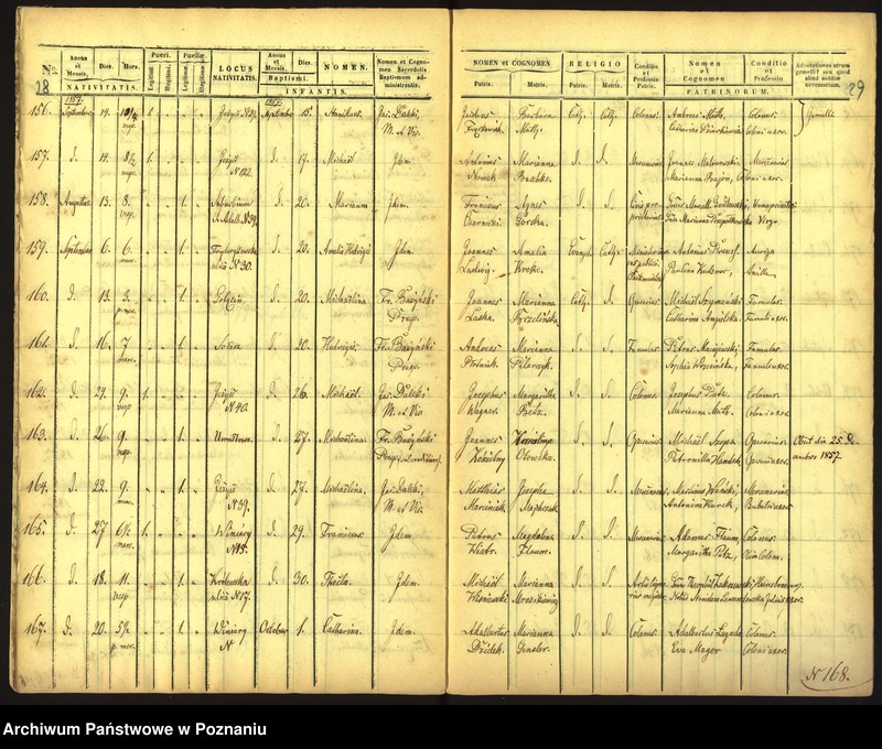 Obraz 17 z jednostki "Księga urodzin"