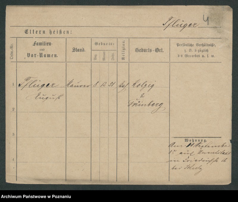 Obraz 6 z jednostki "Pflieger - Piasecki"