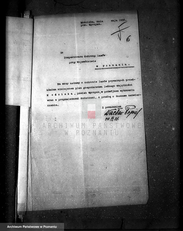 Obraz 10 z jednostki "Majętność leśna Kostrzynek-Mościska powiat wyrzyski"