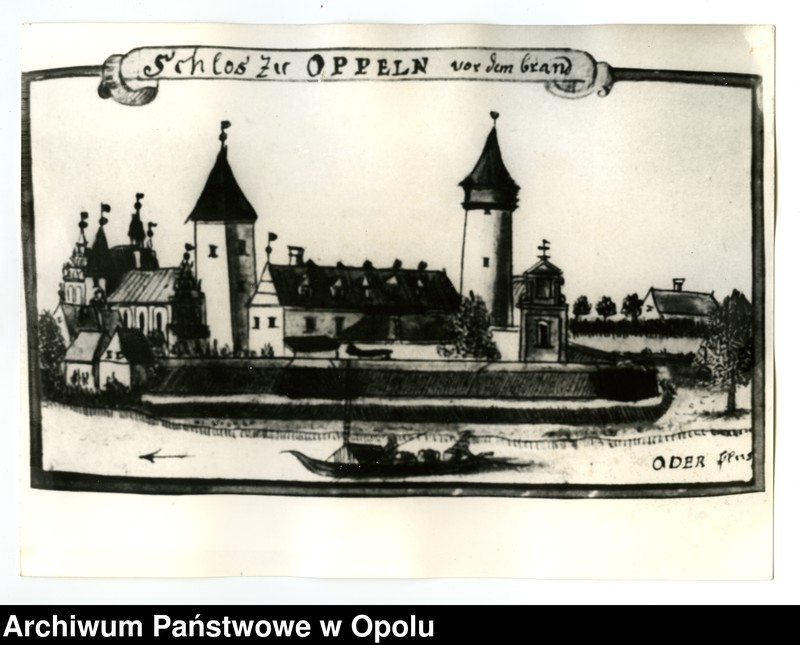 Obraz 16 z jednostki "[Fotografie rycin z publikacji Friedricha Bernharda Wernhera (Wernera)]"