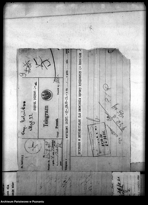 Obraz 13 z jednostki "Państwowy Naukowy Instytut Rolniczy w Bydgoszczy"