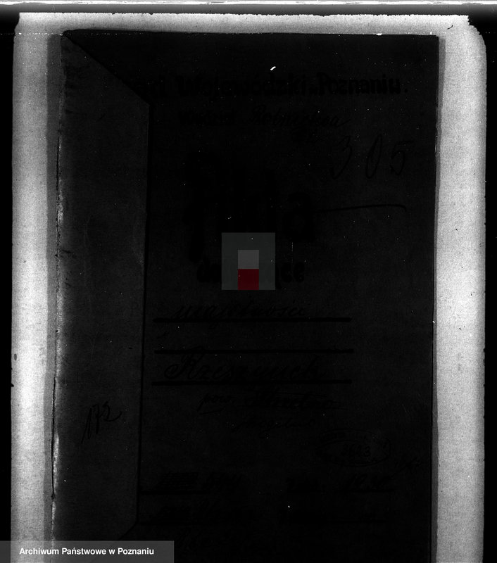 Obraz 5 z jednostki "/Majętność leśna Rzeszynek powiat mogileński"