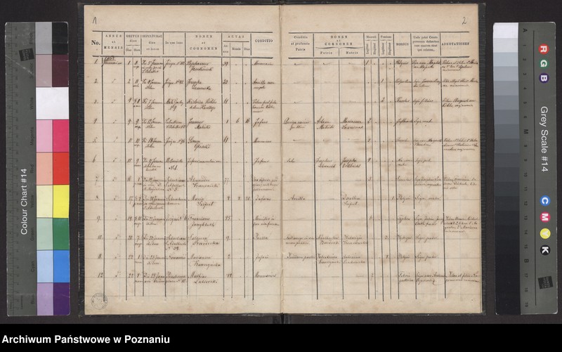 Obraz 3 z jednostki "Księga zgonów"