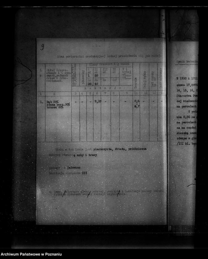 Obraz 13 z jednostki "Parcele leśne pod nazwą,,Zakrzew" powiat turecki"