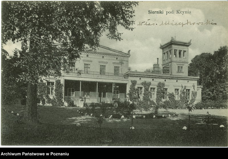 Obraz 1 z jednostki "Sierniki pod Kcynią - pałac Mieczkowskich"