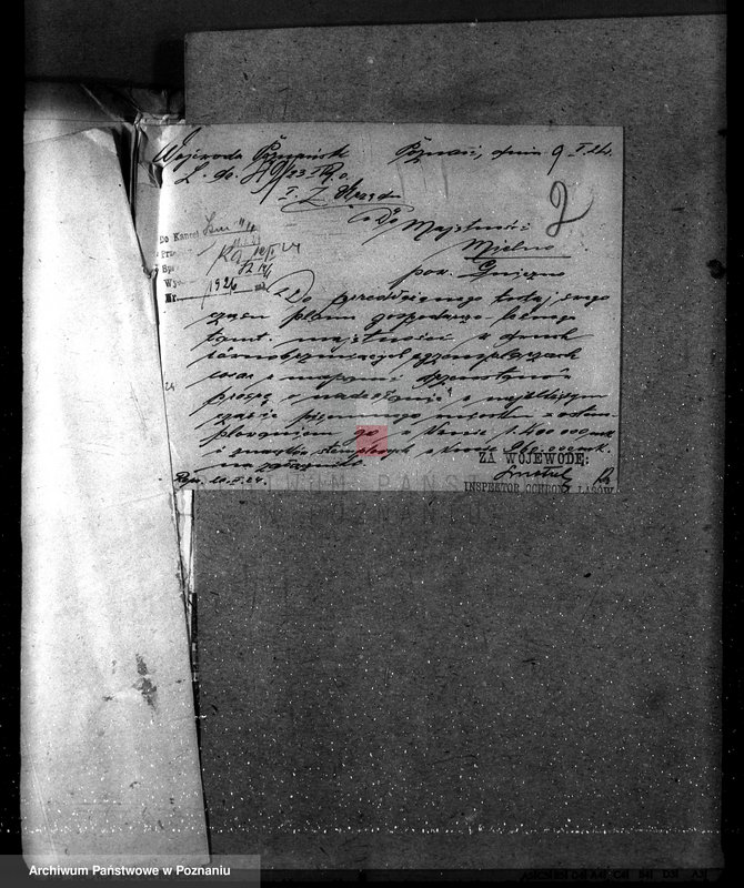 Obraz 6 z jednostki "Majętność leśna w Mielnie w powiecie gnieźnieńskim"