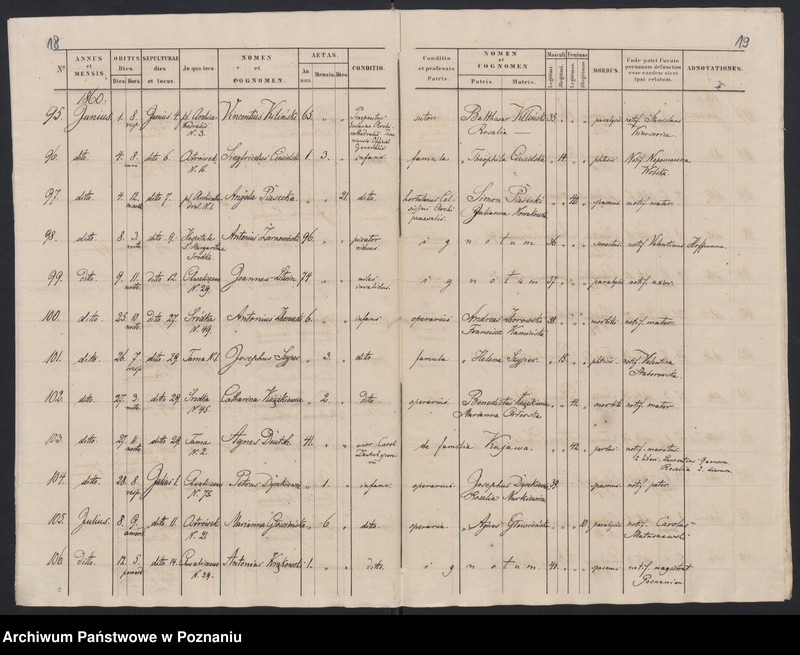 Obraz 12 z jednostki "Księga zgonów"