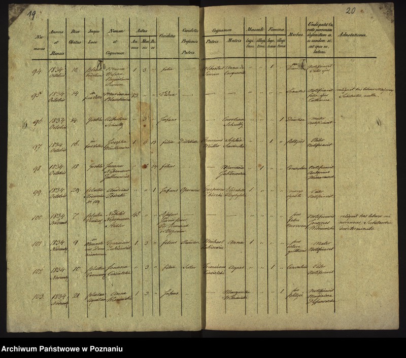 Obraz 13 z jednostki "Księga zgonów"