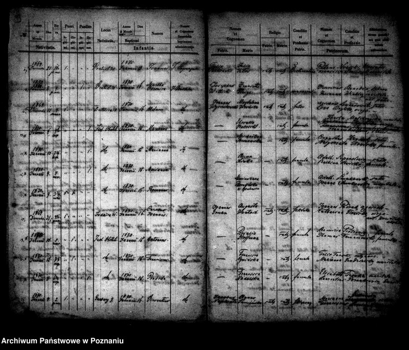 Obraz 3 z jednostki "Księga urodzin"