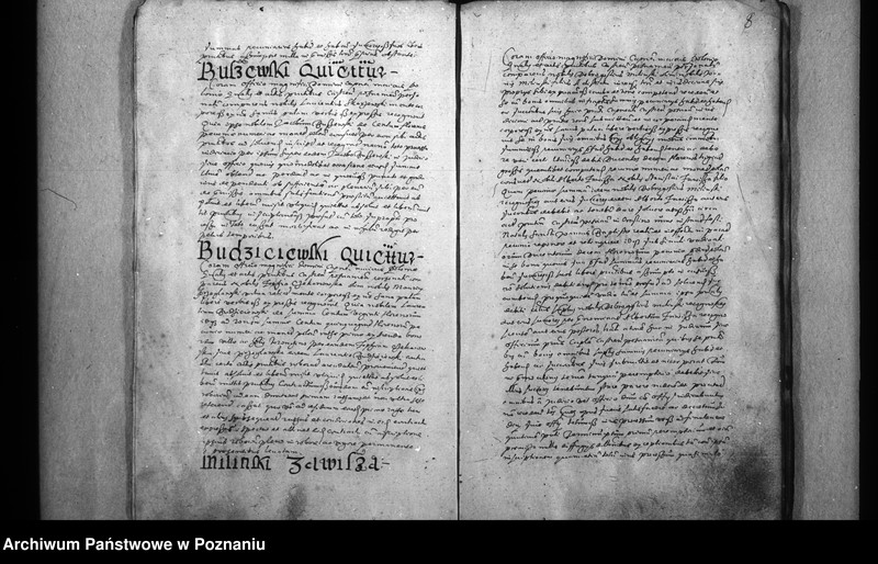 Obraz 11 z jednostki "Inscriptiones [inducta]"