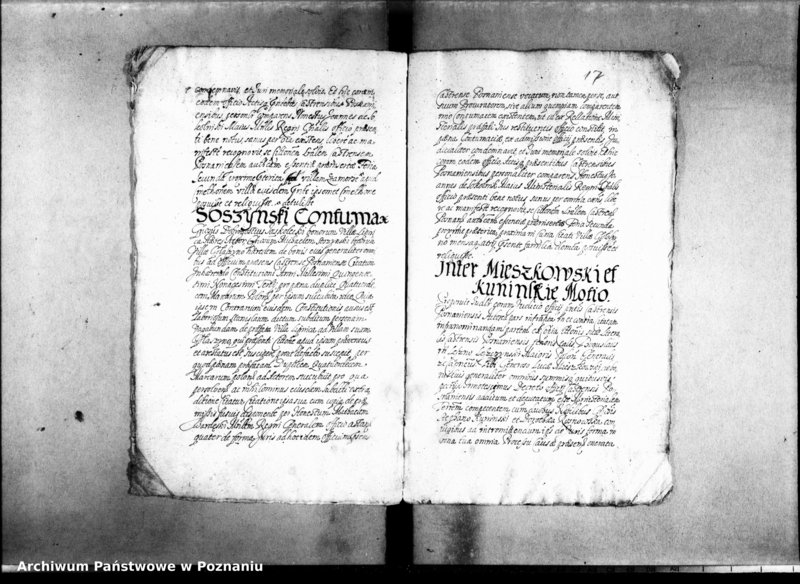 Obraz 20 z jednostki "Decreta officii [inducta]"