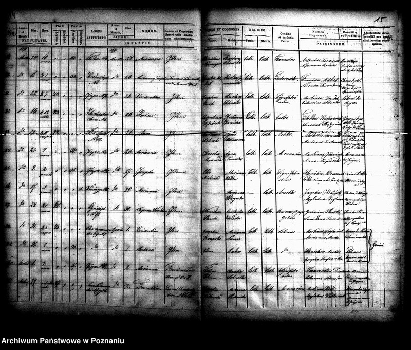 Obraz 9 z jednostki "Księga urodzin"