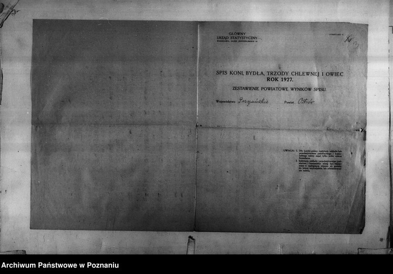 Obraz 4 z jednostki "Spis koni, bydła, trzody chlewnej i owiec - zestawienie z terenu powiatu ostrowskiego"