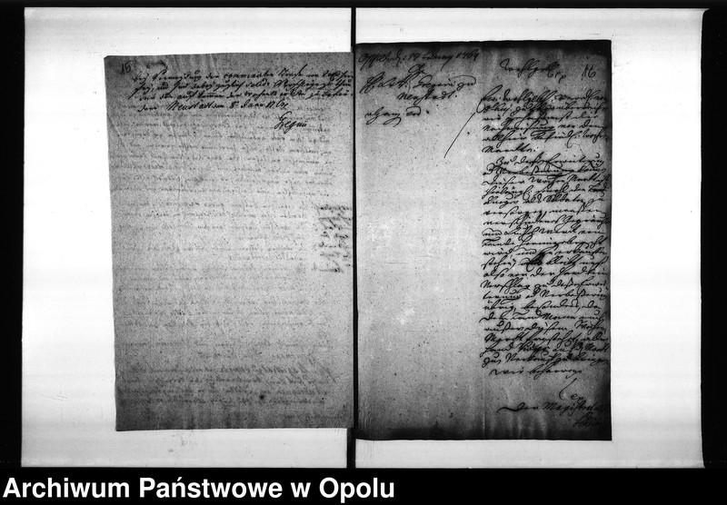 Obraz 18 z jednostki "Acta des Magistrats zu Oppeln von den hiesigen Cram-Woll-Vieh und Wochenmärckten"
