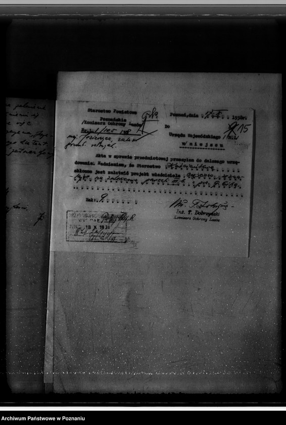 Obraz 19 z jednostki "Nadzór nad gospodarką w lasach majętności Jezierzyce"