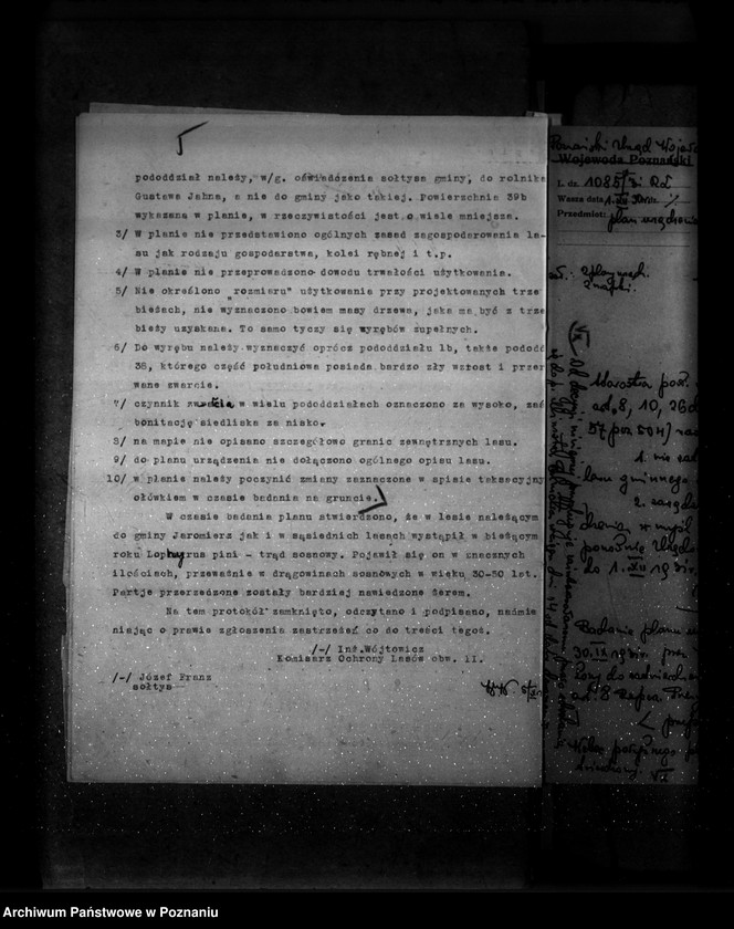 Obraz 10 z jednostki "Las gminy Jaromierz powiat wolsztyński"