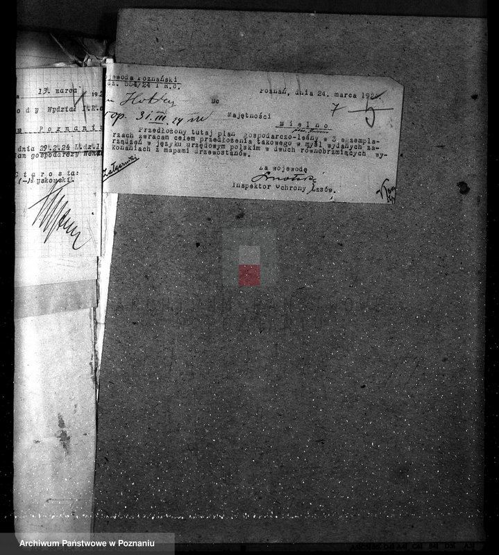 Obraz 11 z jednostki "Majętność leśna w Mielnie w powiecie gnieźnieńskim"