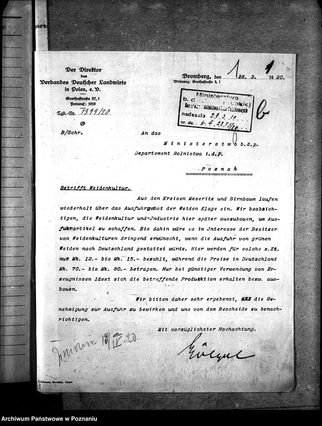 Obraz 5 z jednostki "Sprawy szczegółowo-administracyjne Koszykarstwo"